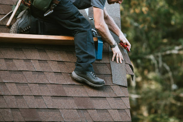 Best Roof Moss and Algae Removal  in , KY